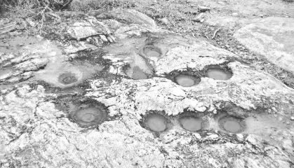 Historical or archaeological reference to Pallanguli