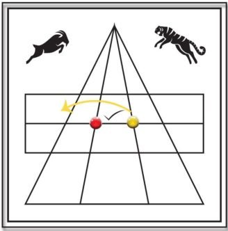 Tiger capturing goat in Adu Puli Attam